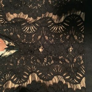 rare beauty lace fit & flare dress